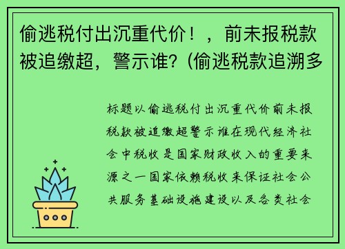 偷逃税付出沉重代价！，前未报税款被追缴超，警示谁？(偷逃税款追溯多少年)