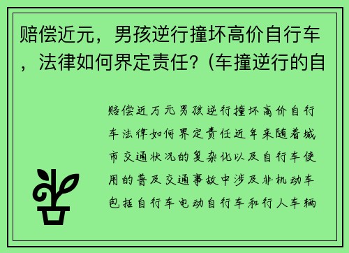 赔偿近元，男孩逆行撞坏高价自行车，法律如何界定责任？(车撞逆行的自行车谁的责任)